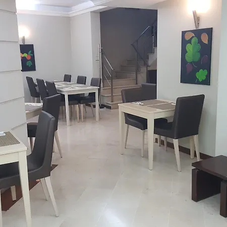 Hotel Torres Novas מלון טורס נובאס