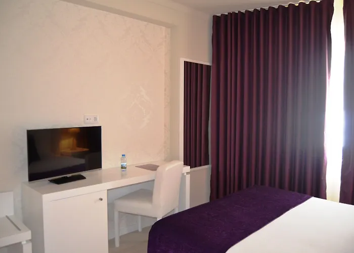 Hotel Torres Novas 3*