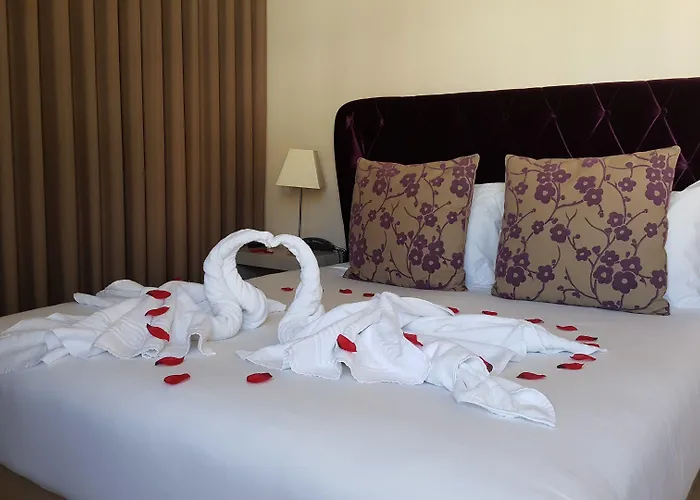 Hotel Hotel Torres Novas